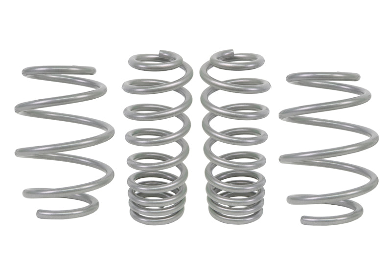 Lowering Spring Kit